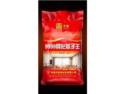 天鼎  9999鋼化膩子王